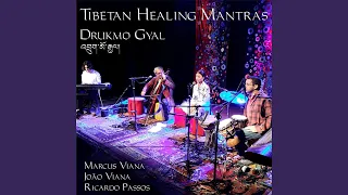 Purification Mantra of the Five Elements (feat. Marcus Viana, João Viana, Ricardo Passos)