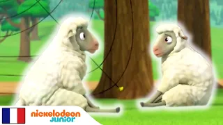 PAW Patrol: La Pat’ Patrouille | 🐑 Les chiots sauvent un troupeau 🐑 | Nick Jr.