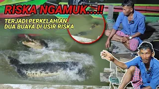 Riska ngamuk‼️Terjadi perkelahian didepan mata,dua buaya jahat di usir riska..