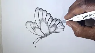 How to draw butterfly sketch/Butterfly pencil sketch with rose leaf.