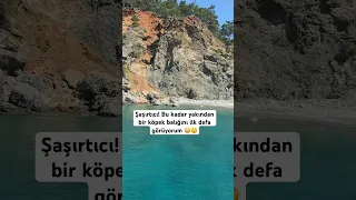 Kimler köpek balığı gördü 😳 #antalya #tatil #adrasan #komik #turkey #travel #fypyoutube #olimpos