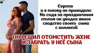 Сергей наконец понял на кого похож его сын- на коллегу. Он решил отомстить жене и забрать у неё сына