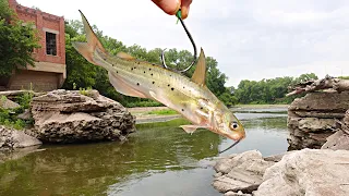 I Threw A LIVE CATFISH Below A BROKEN DAM!!! (Something Actually ATE IT)