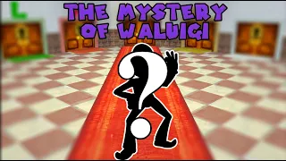 The Mystery of Waluigi In Super Mario 64 DS