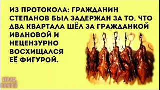 Анекдоты в картинках #338 от КУРАЖ БОМБЕЙ: восхищение фигурой, повязка на лбу и книжный рынок