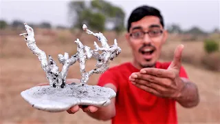 Ant Hill Aluminium Casting | कमाल हो गया जब चींटी के घर में डाला एल्युमीनियम |