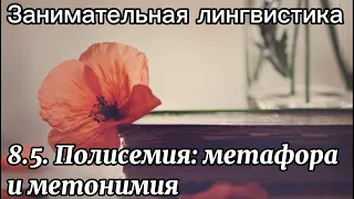 8.5. Полисемия