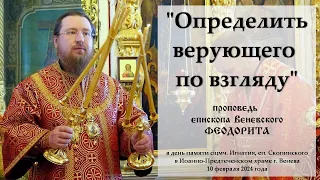 "Определить верующего по взгляду". Епископ Венёвский Феодорит.