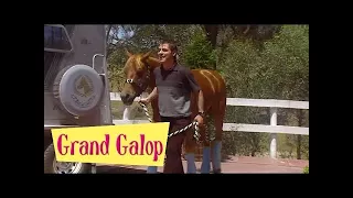 Grand Galop 223 - Les jeux sont faits (Partie 2) | HD | Épisode Complet