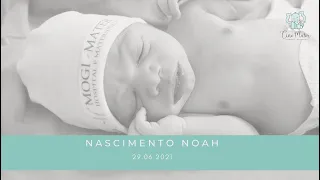 Nascimento Noah