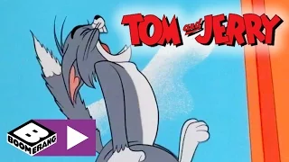 Tom & Jerry | Cat Suit | Boomerang UK