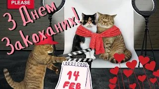 З Днем Святого Валентина привітання/ Музичне привітання з Днем закоханих/ 14 лютого свято