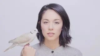 Kina Grannis - Birdsong (Official Music Video)