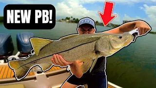 Caught a TROPHY Snook On CUT BAIT!