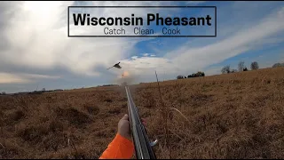 Wisconsin Pheasant Hunting - Catch Clean Cook