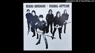 Radio Birdman - Aloha Steve & Danno - 1978 Aussie Punk - Hawaii 5-0