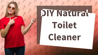 How Can I Make a Natural, Non-Toxic Toilet Cleaner at Home?