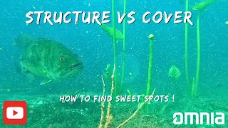 Structure vs Cover :How to find Bass Fishing sweet spots!