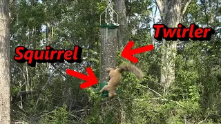Squirrel Twirling 101 - Keep those bird feeders safe...and give the ole squirrels a ride :-)