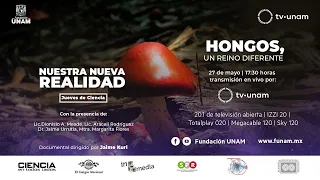 Conferencia y proyección de documental "Hongos, un reino diferente".