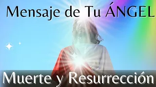 👼🏼 Mensaje del ARCÁNGEL GABRIEL🤍 Para TI AHORA ‼️ (2022)*Muerte y Resurrección ✨