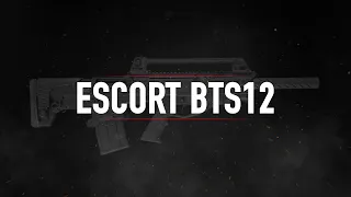 ESCORT BTS12