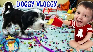 IT'S OREO! FUNnel V Fam Doggy Vloggy! Who's Harder to Handle, Puppy or Baby After Christmas Vlo