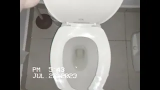 2005 Brandless toilet
