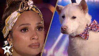 Dog Magic Act Makes Judges CRY on Britain's Got Talent!