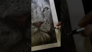 How to draw a lion /art of white lion /realistic sketch of lion #shorts