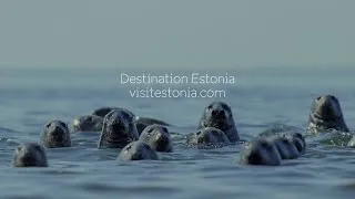 Destination Estonia Onlive 16.6.2020