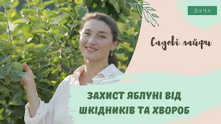 Захист Яблуні від Шкідників та Хвороб. Профілактична Обробка Яблуні.