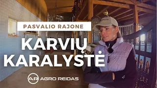 2 Dalis KARVIŲ KARALYSTĖ || AGRO REIDAS #33