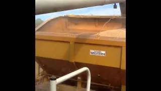 Spring barley harvest 2011