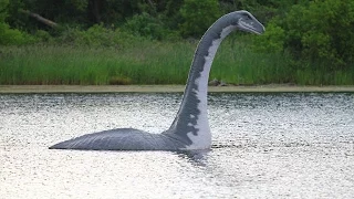 Das Geheimnis von Loch Ness-Doku Deutsch