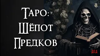 Таро: Послание от Хранителей Рода 🍀 Расклад на Оракуле Tantum 🔥 #таро