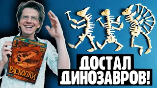 РАСКОПКИ 🐉 1 серия 🐲 Партия на 3-х / В игре есть пинцет, который достаёт Черепа Динозавров из глубин