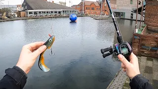 Inner-City Pike Fishing 🇬🇧🐊