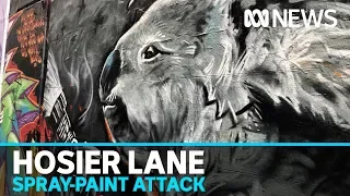 Melbourne's Hosier Lane street art, graffiti, painted over in weekend 'vandalism' attack | ABC News
