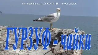 Крым - лето 2018. Гурзуф - чайки