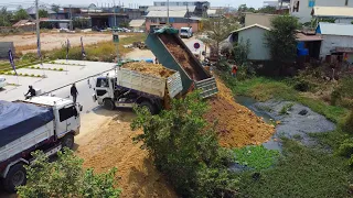 Full project! 100%! Technique Land filling By Dump Trucks And Komatsu Dozer Push to clean the soil