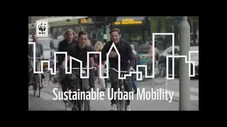 Cities Rise to the Challenge – Sustainable Mobility