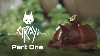 Stray Gameplay | Part One (1)