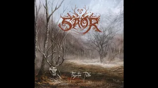 Saor - Monadh (2019) HQ