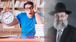 Идти работать или сидеть учиться? Рав Ашер Кушнир