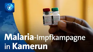 Kamerun startet weltweit erste Impfkampagne gegen Malaria