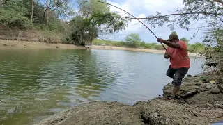 Small Single Hook fishing|Big Tilapia fish & Baam Fishes Catching by Fisherman|Unique fishing