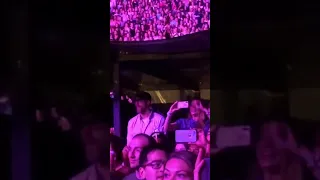 Ryan Reynolds, Blake Lively and Gigi Hadid at Taylor Swift Concert