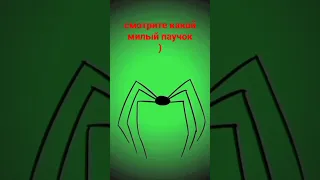 Паучок #shorts #spider