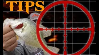 LiveScope Sniping Crappie Tips and strategies